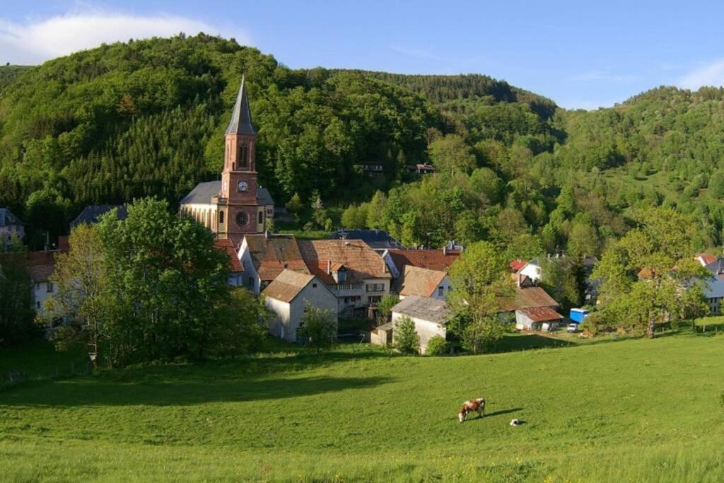 Chic T3 60 M2 Cosy 1 A 6 Personnes Rando, Nature, Bike Park, Station De Ski Le Bonhomme Exterior foto